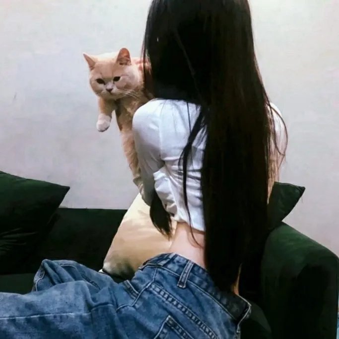 爱神来啦